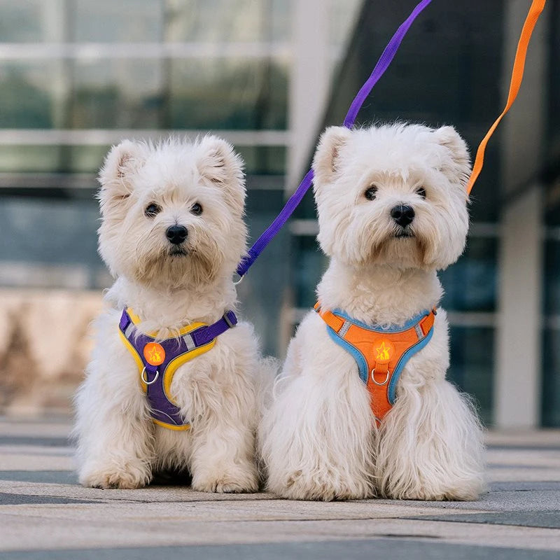 Reflective Mesh Dog Harness Vest With Traction Rope