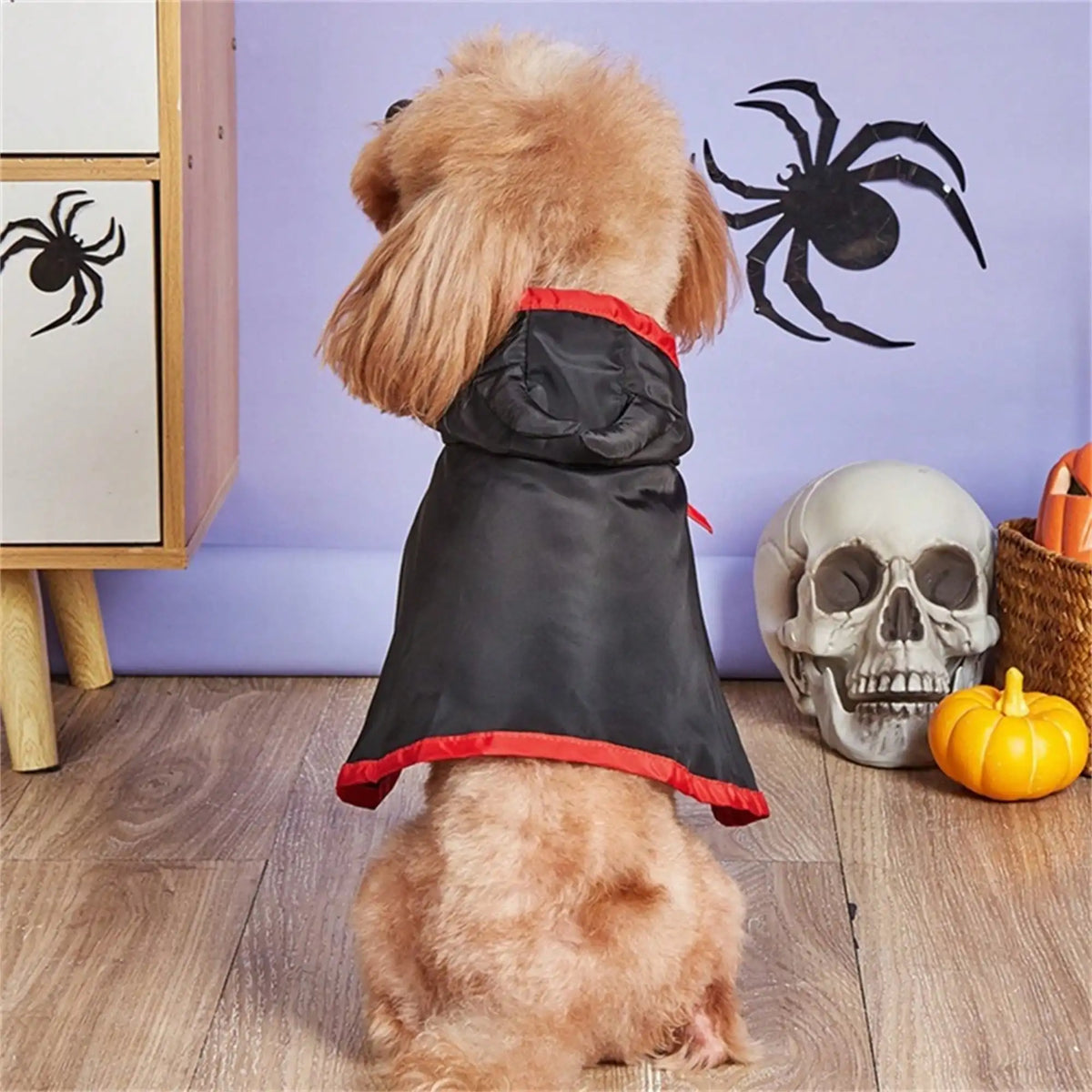 Halloween Dog Vampire Costume Cape With Devil Hat Headband