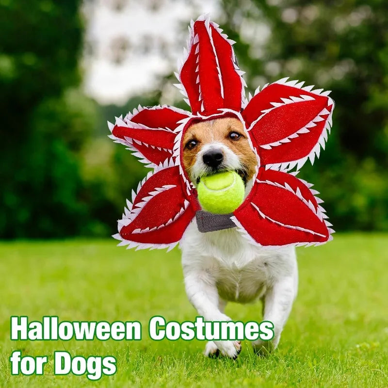 Floral Puppy Cosplay Headband Pet Costume For Dogs And Cats