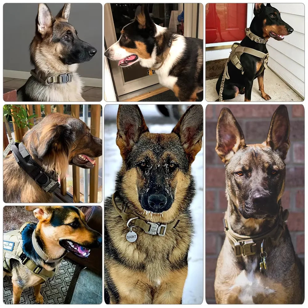 Adjustable Tactical Dog Collar And Leash Set With Control Handle