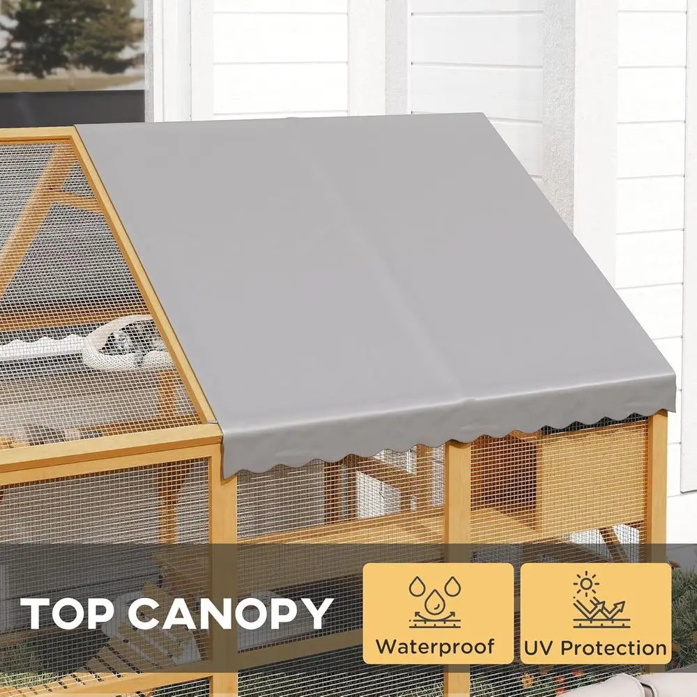 Outdoor Cat Enclosure For Multiple Cats With Walk In Access