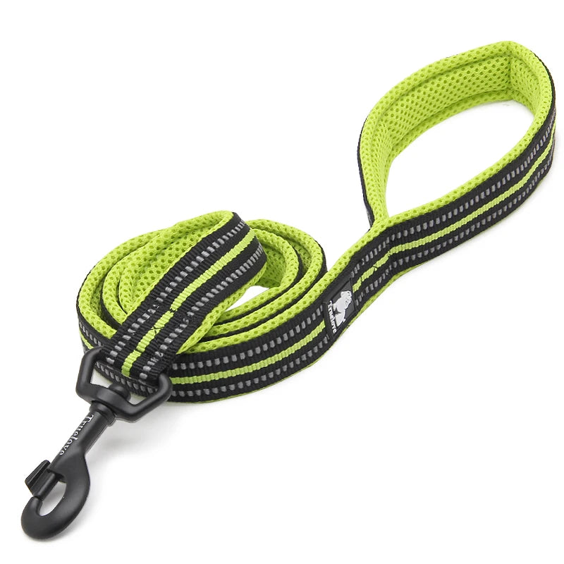 Winhyepet Padded-Handle Dog Leash for Training and Daily Walks