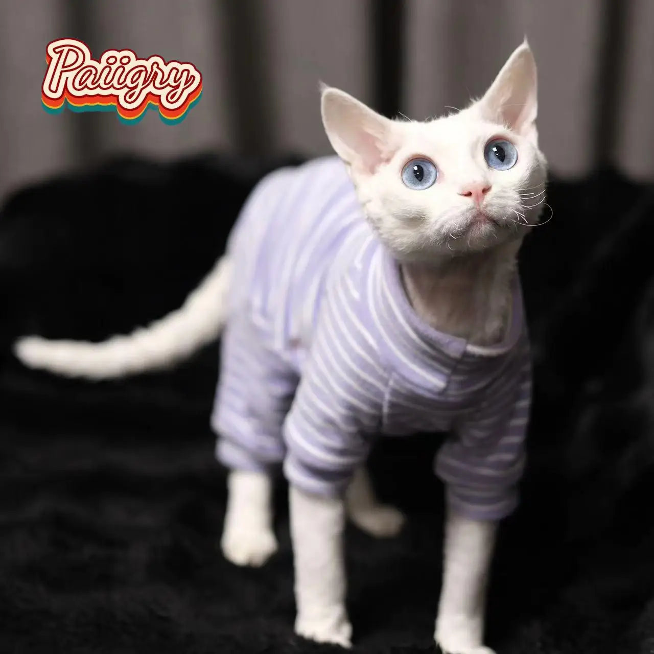 Elastic Warm Sphynx Cat Full Body Comfortable Pet Clothing