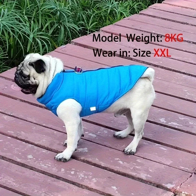 Winter Warm Dog Coat Windproof Padded Jacket For Small Dogs