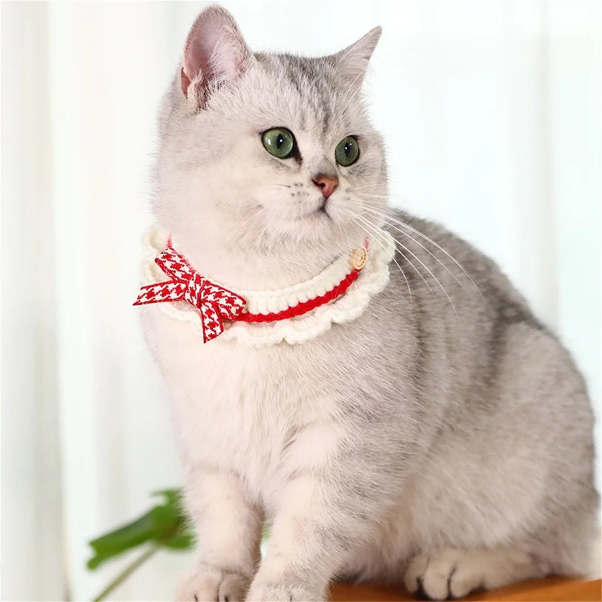 Adjustable Absorbent Pet Collar With Decorative Bow Knot Design