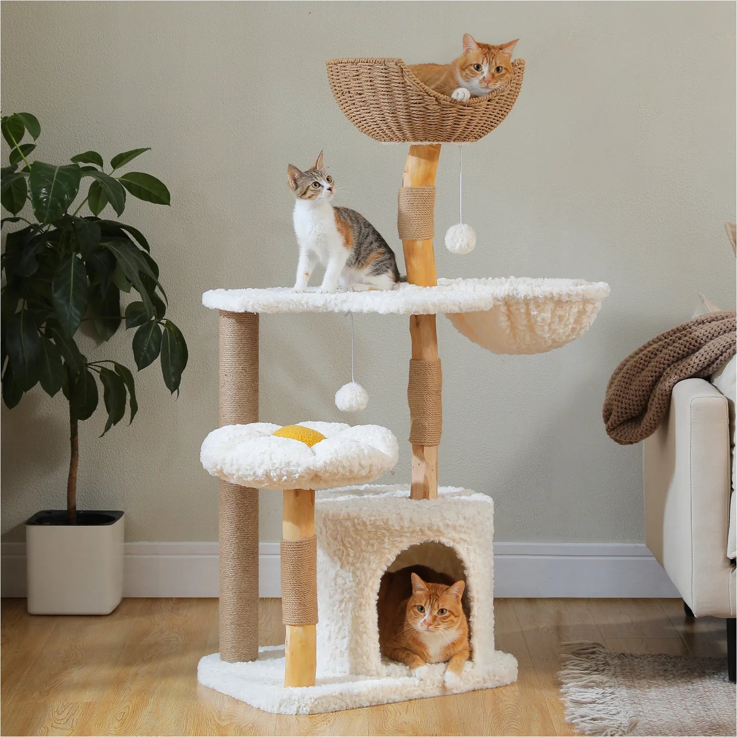 PAWZ Road Modern Cat Tree Indoor Cats Solid Wood Tower With Cat Condo