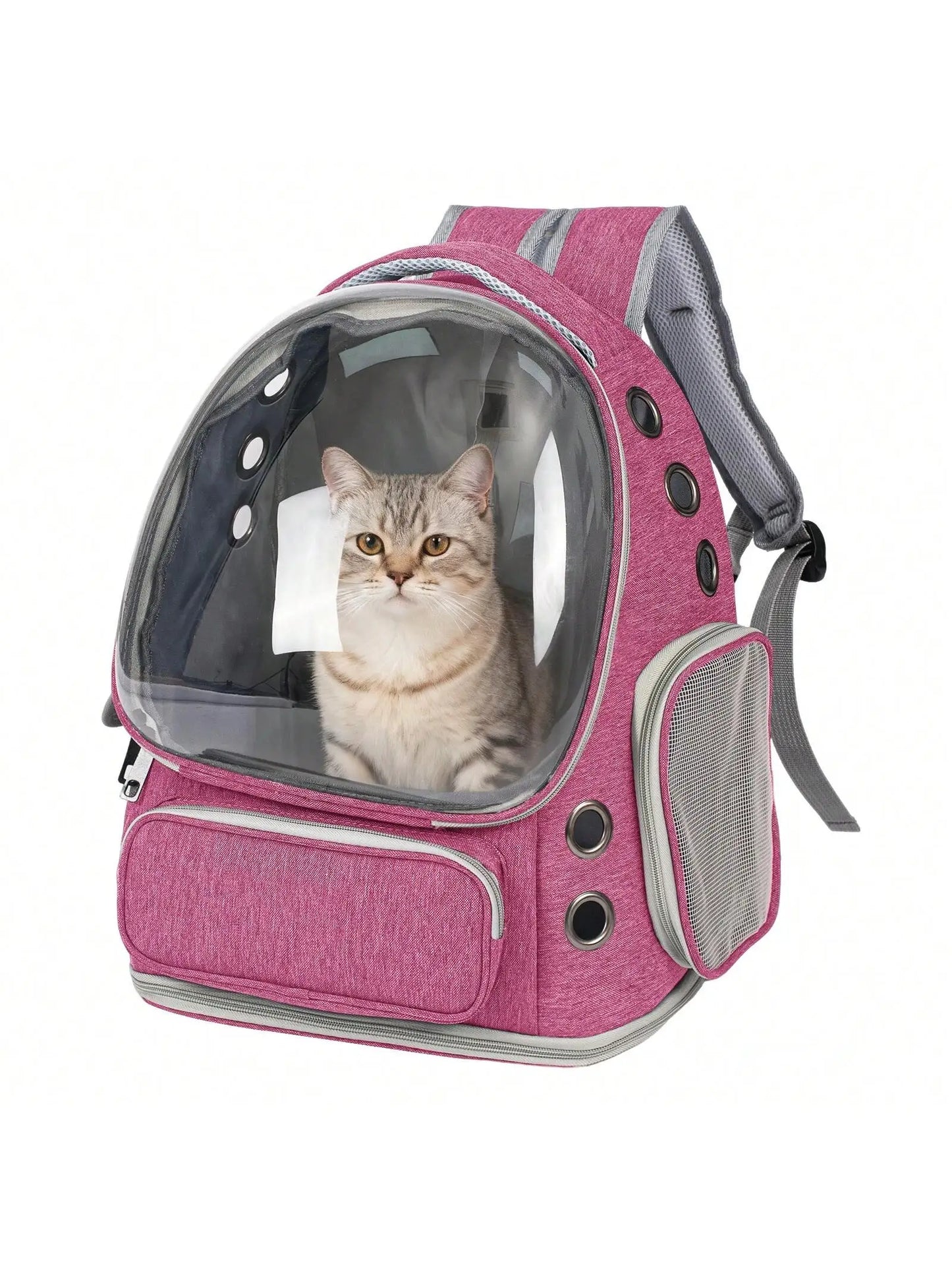 XMSJ Transparent Pet Backpack Carrier For Small Cats And Dogs