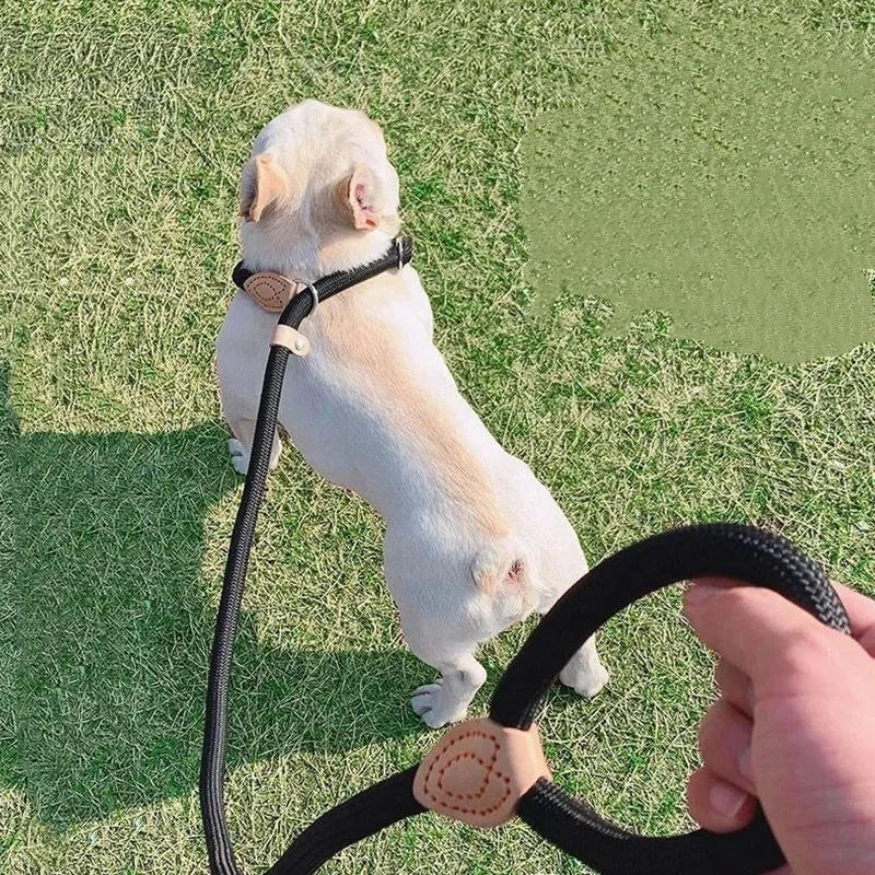 Nylon Dog Leash Slip Rope Heavy Duty Braided Training Leash