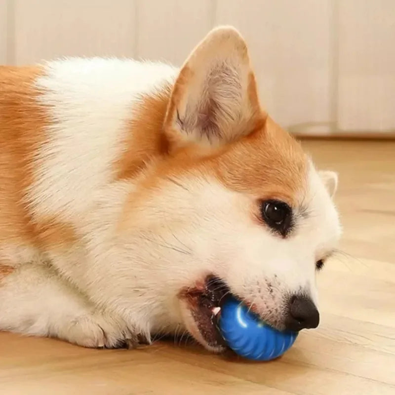 Automatic Moving Ball Dog Toy USB Interactive Chew Ball