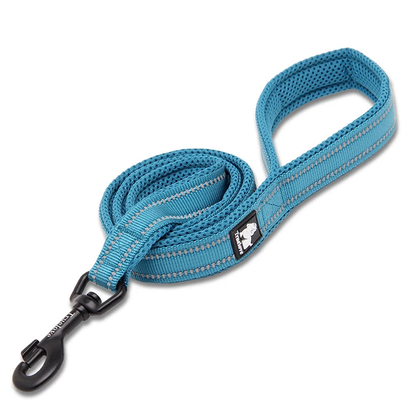 Winhyepet Padded Handle Reflective Dog Leash For Training