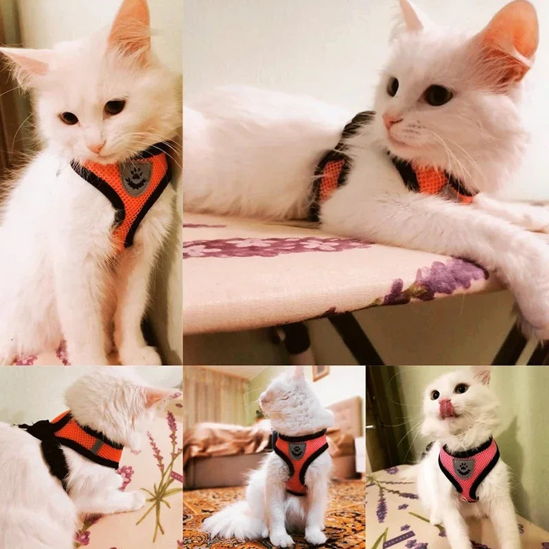 Cat Harness Vest With Leash Adjustable Polyester Mesh Dog Harness