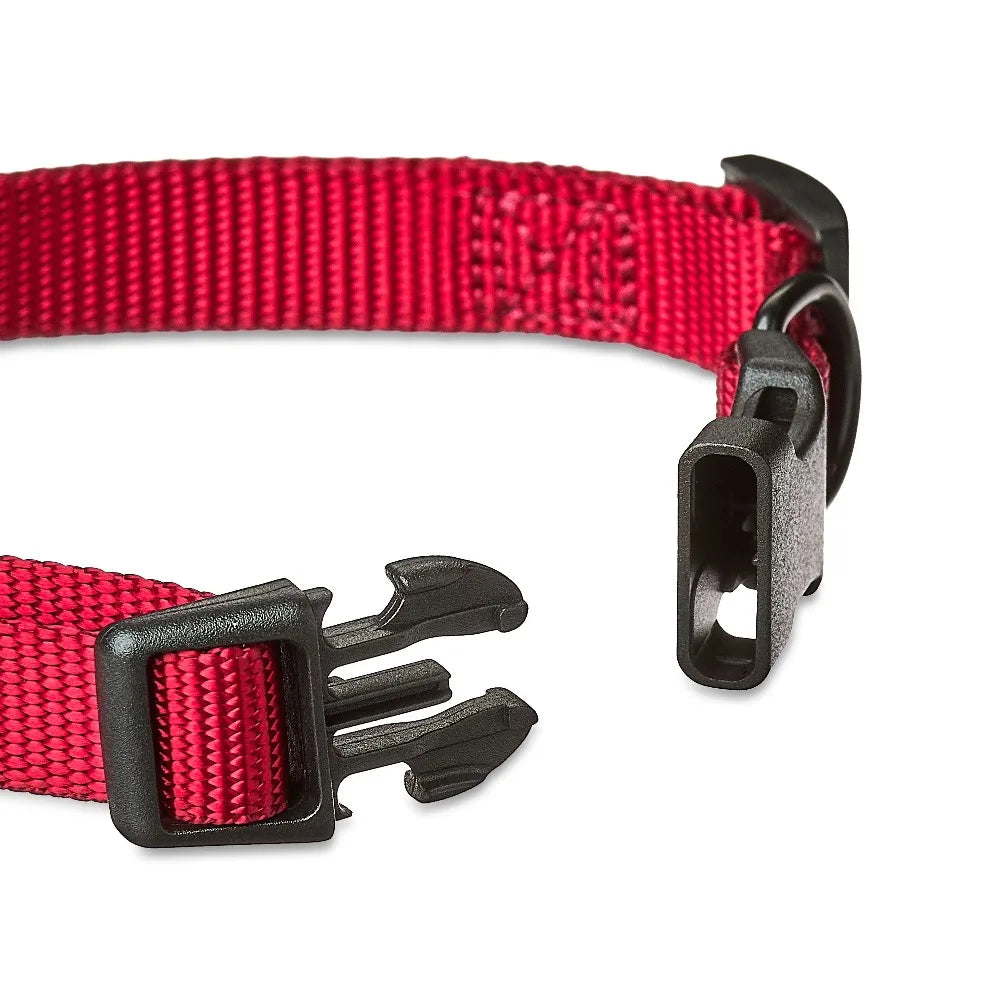 Adjustable Polyester Dog Collar with D Ring and Reflective Stitching