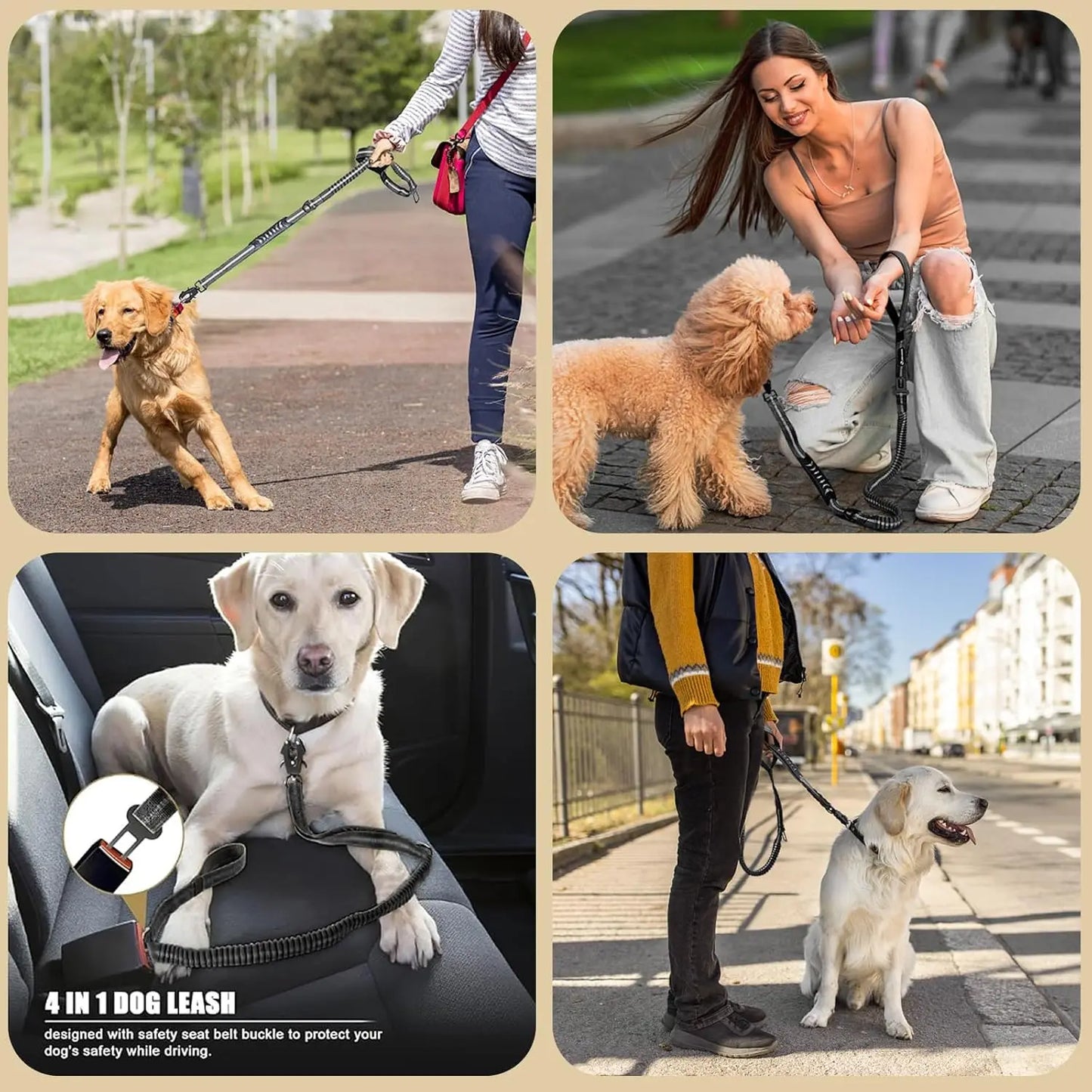 Reflective Shock Absorbing Tactical Bungee Dog Leash With Seatbelt