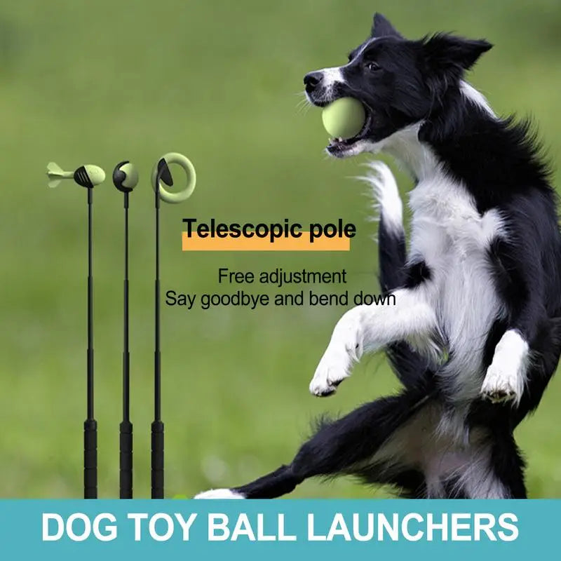 Dog Tennis Ball Launcher Stick for Outdoor Training and Play