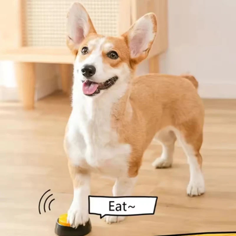 Recordable Dog Toy Talking Button Squeaker Pet Toy