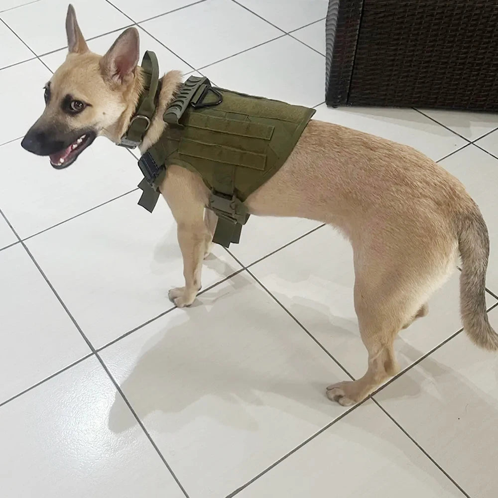 Adjustable Tactical Dog Harness With Padded Nylon Collar Set