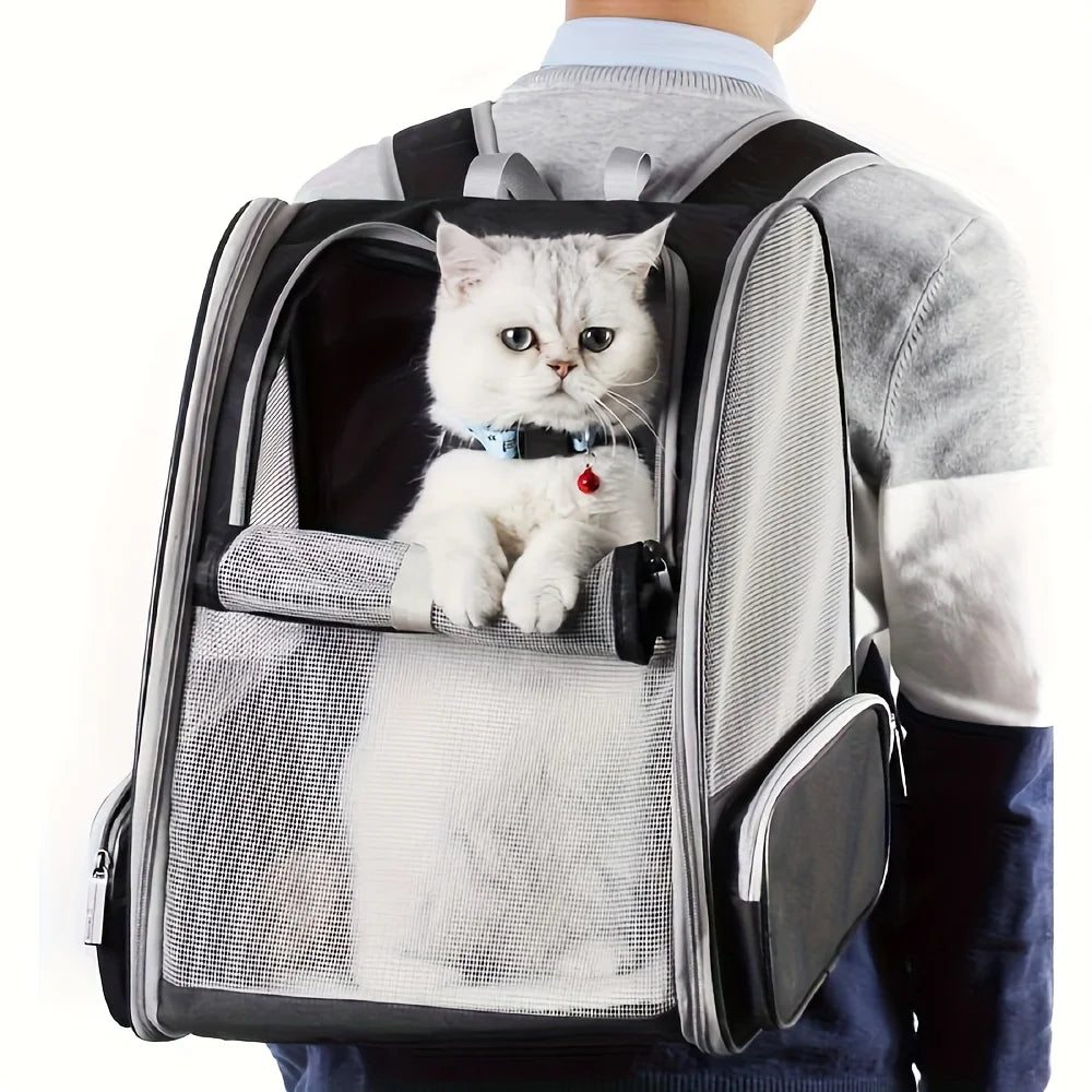 Foldable Ventilated Pet Backpack With Safety Belt For Travel