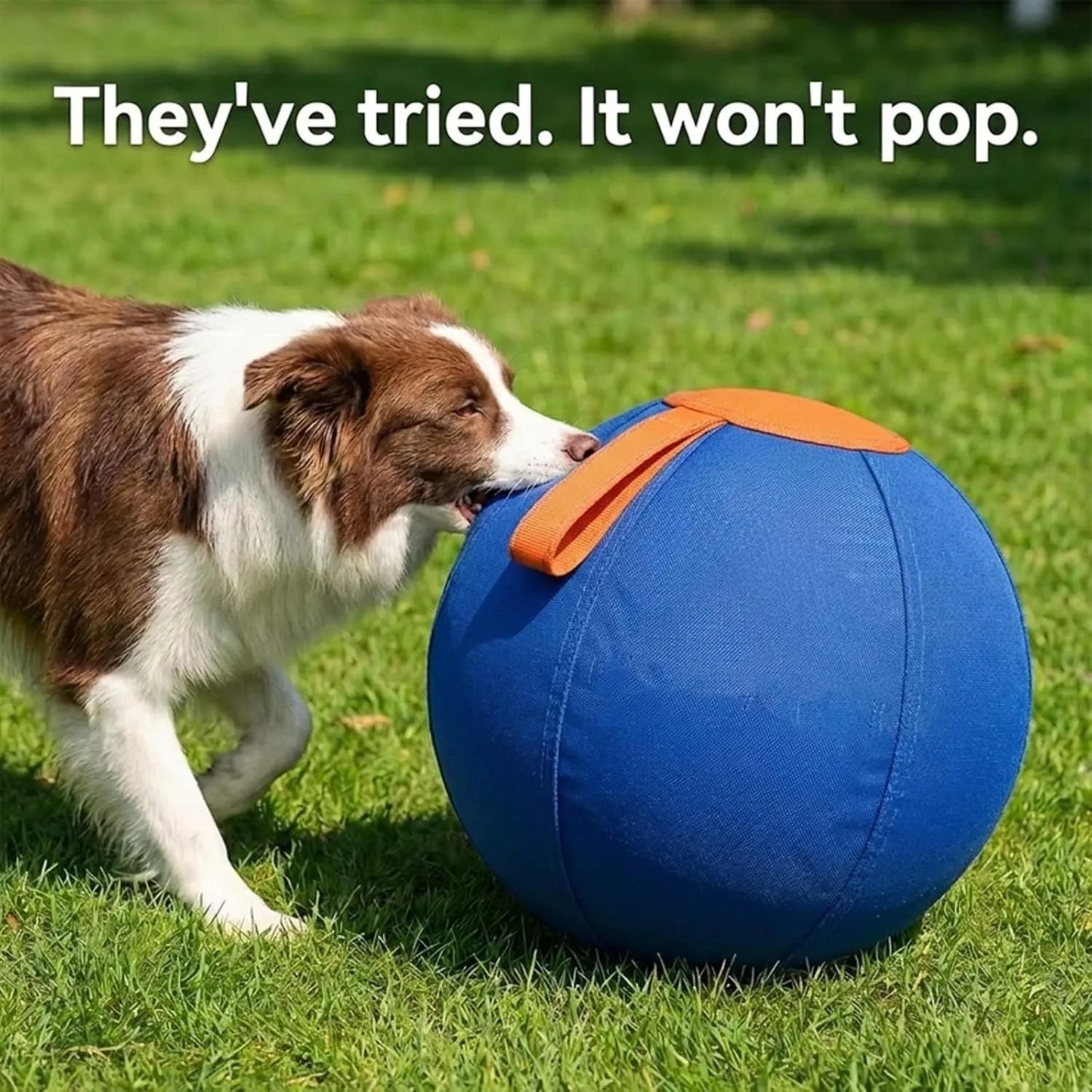 Ruckus Herding Ball For Dogs Enrichment Ball Durable Tear Resistant