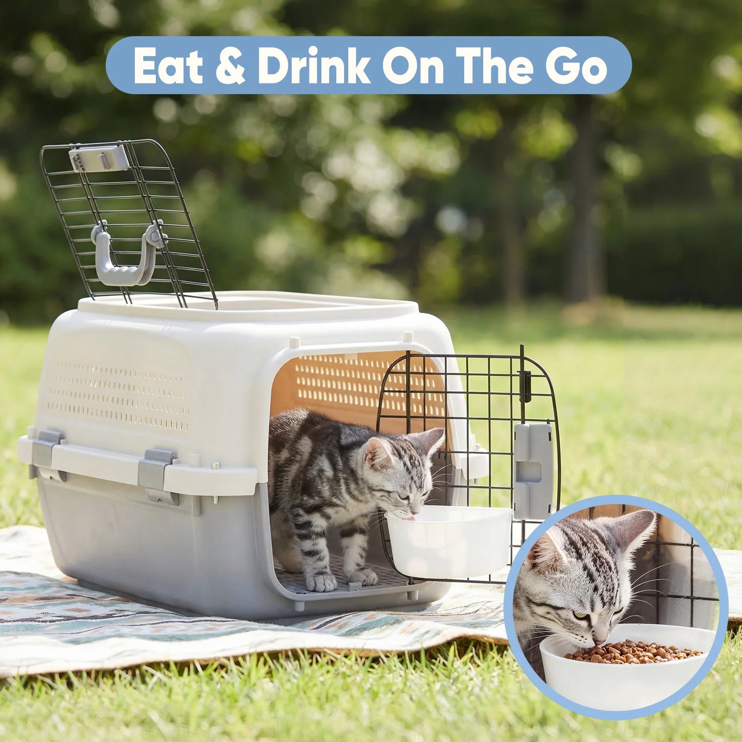 Front Top Load Pet Carrier With Wire Door And Latches