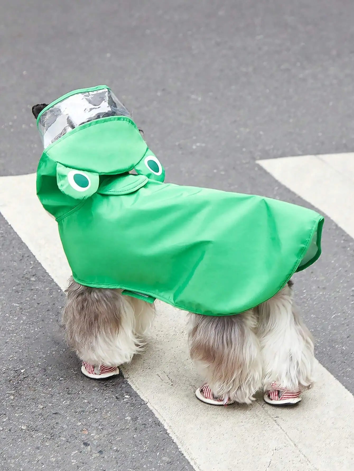 PETSIN Hooded Cartoon Bear Pet Raincoat For Dog And Cat