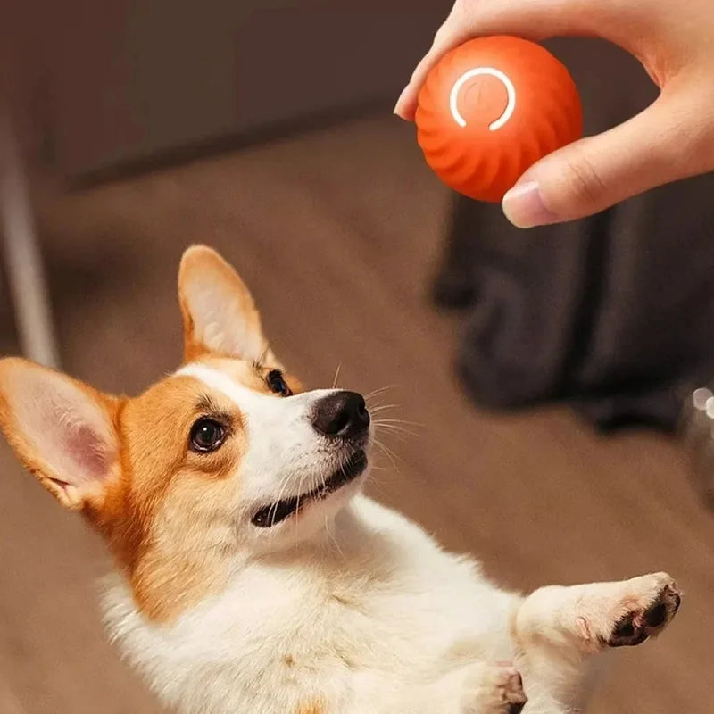 Automatic Moving Dog Toy USB Powered Interactive Chew Ball