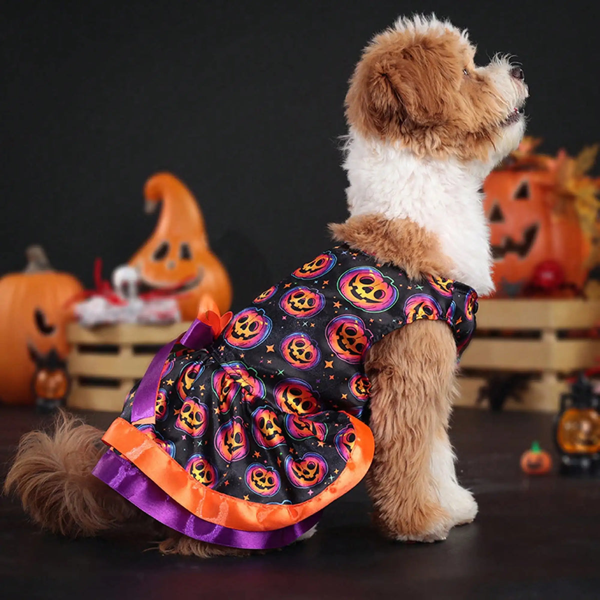 Premium Pumpkin Skull Print Bowknot Halloween Dog Dress