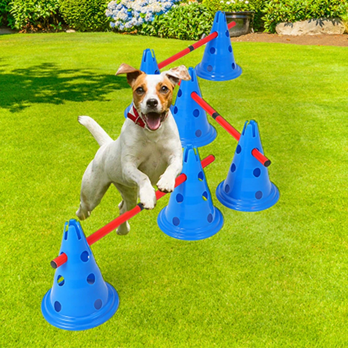 HiMISS Dog Agility Hurdle Set With 12 Cones And Rods