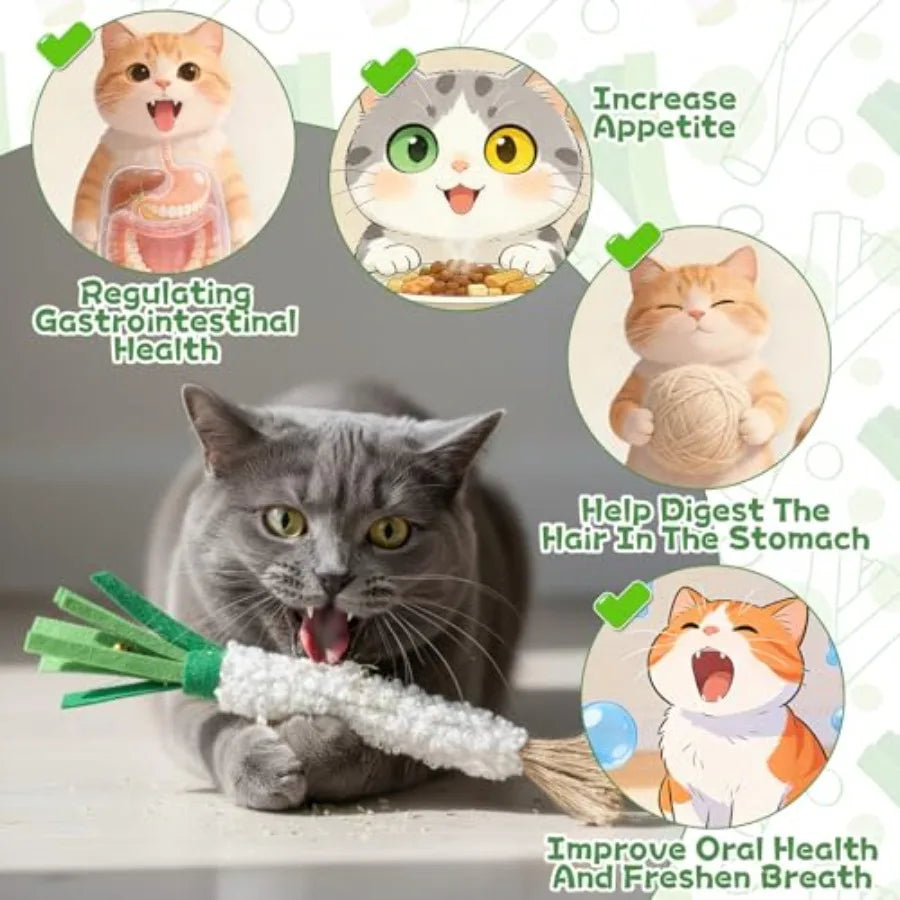 Wood Knotweed Felt Chew Sticks For Cat Dental Care 5 Pack