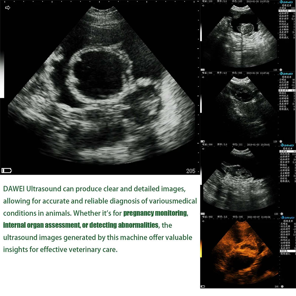 DAWEI Portable Veterinary Ultrasound Scanner with 3.5MHz Convex Probe