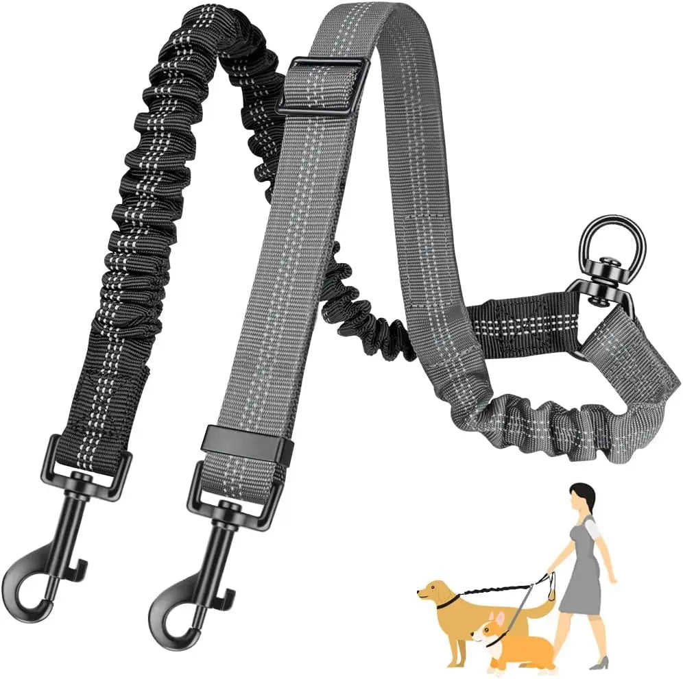 Dual Dog Leash Attachment With Shock Absorbing Bungee