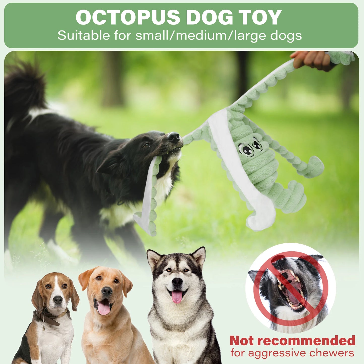 Squeaky Plush Dog Toy Grinding Teeth Chewing Toy Interactive