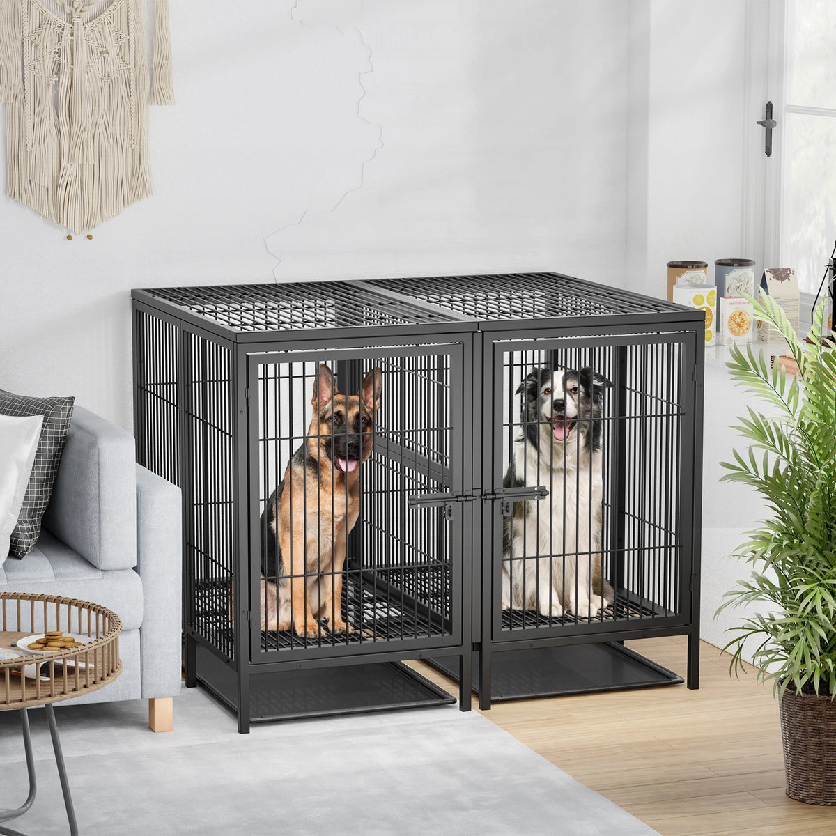 BINGOPAW Heavy Duty Metal Dog Crate With Removable Divider