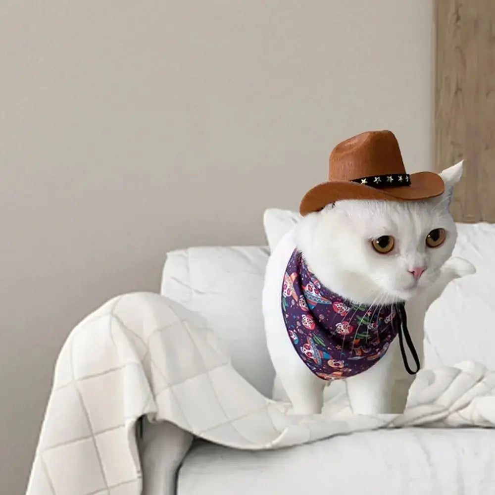 Adjustable Funny Pet Dog Hat For Dogs And Cats Summer