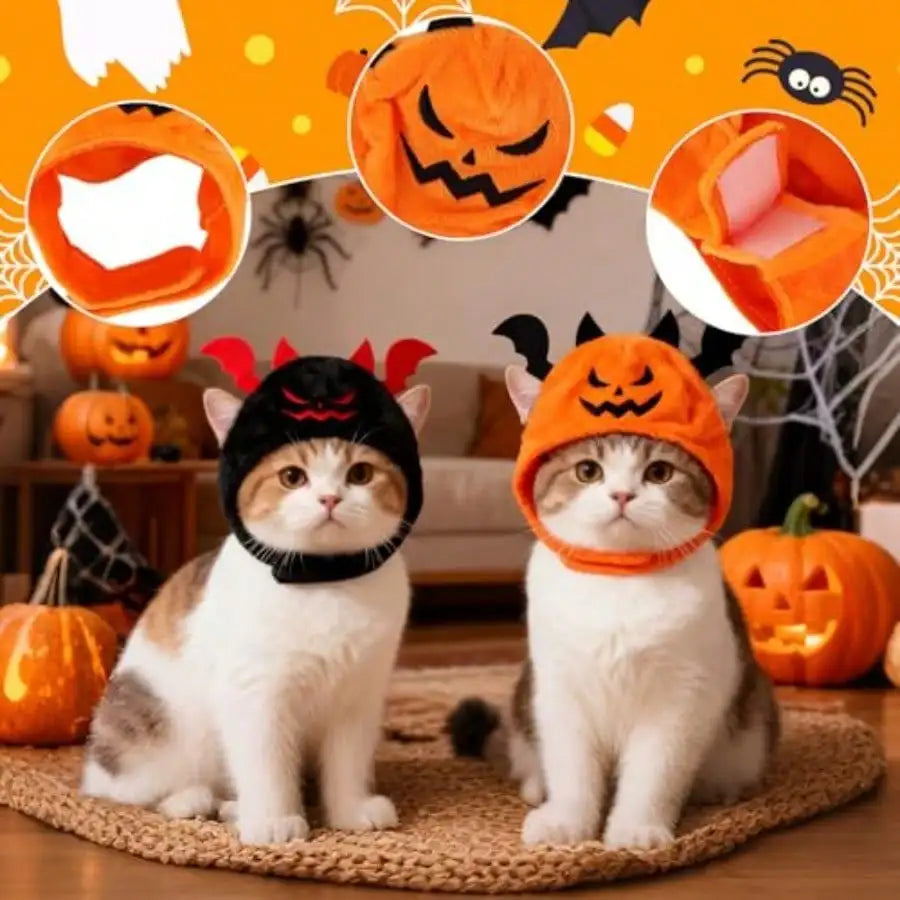 Halloween Pet Costumes Pumpkin Bat Styles With Decorative Scarves