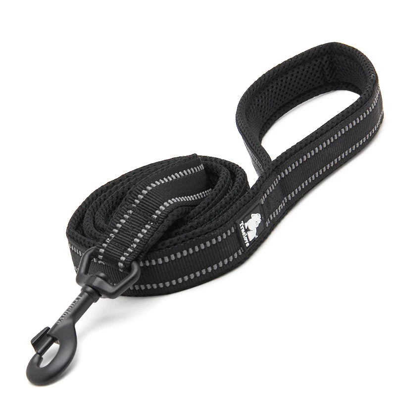 Winhyepet Padded-Handle Dog Leash for Training and Daily Walks