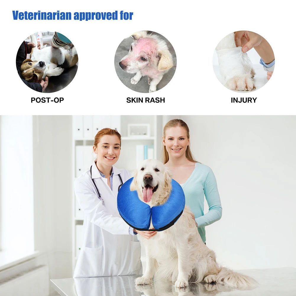 Inflatable Postoperative Pet Recovery Collar for Dogs and Cats