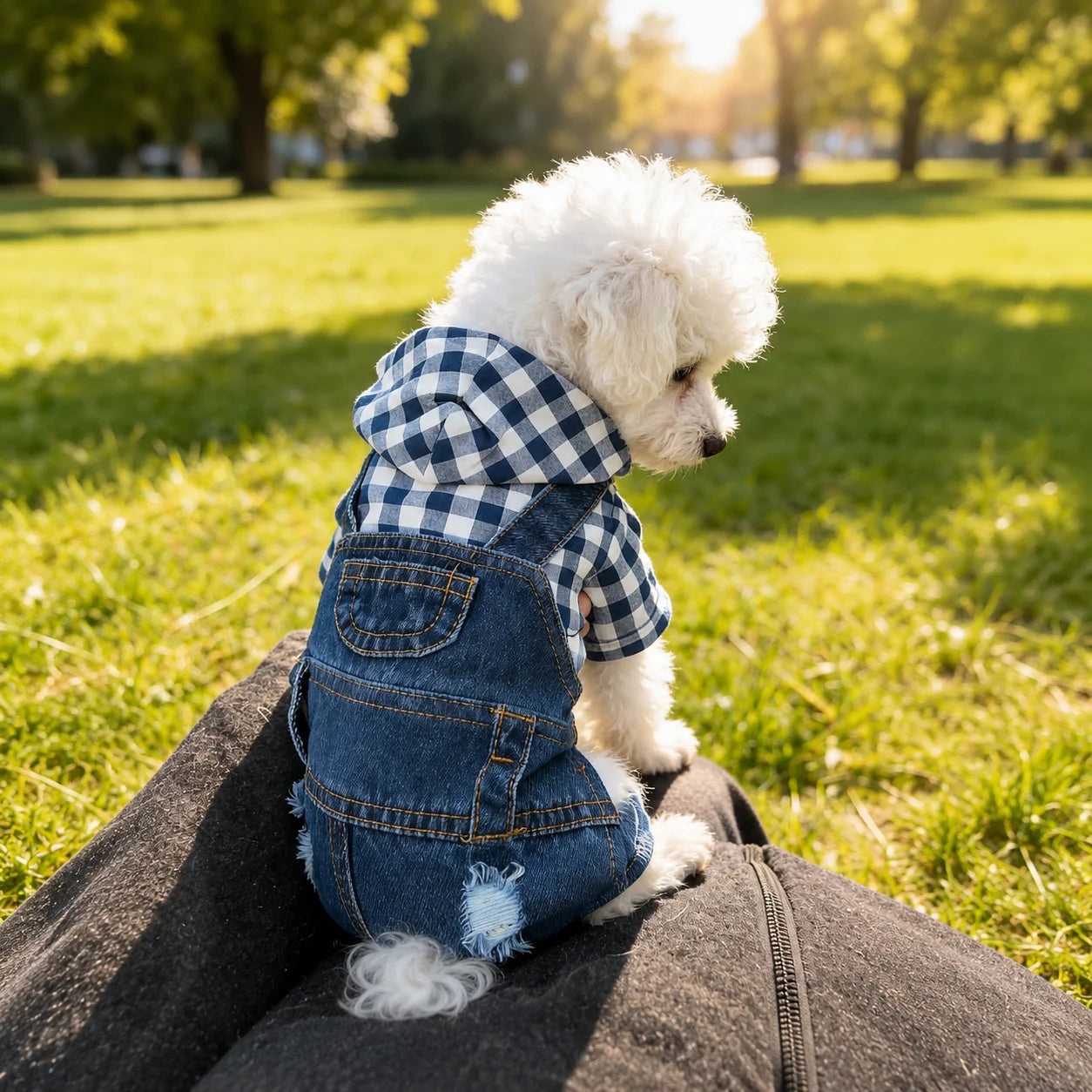 XMSJ Striped Denim Jumpsuit For Small Dogs With Suspender Straps
