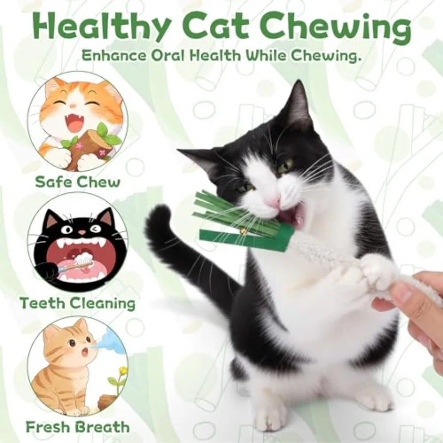 Wood Knotweed Felt Chew Sticks For Cat Dental Care 5 Pack