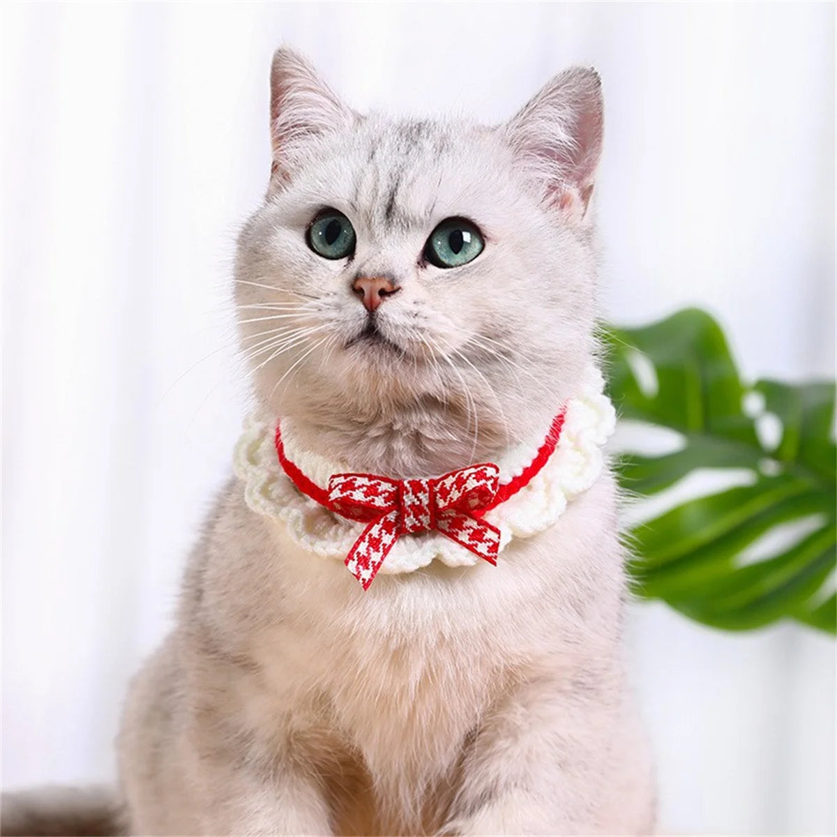 Adjustable Absorbent Pet Collar With Decorative Bow Knot Design