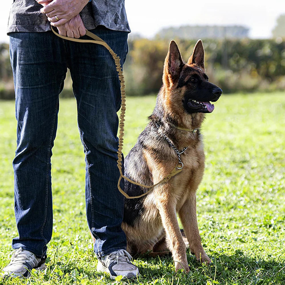 PETRAVEL CN Military Style Dog Leash With Quick Release Handles