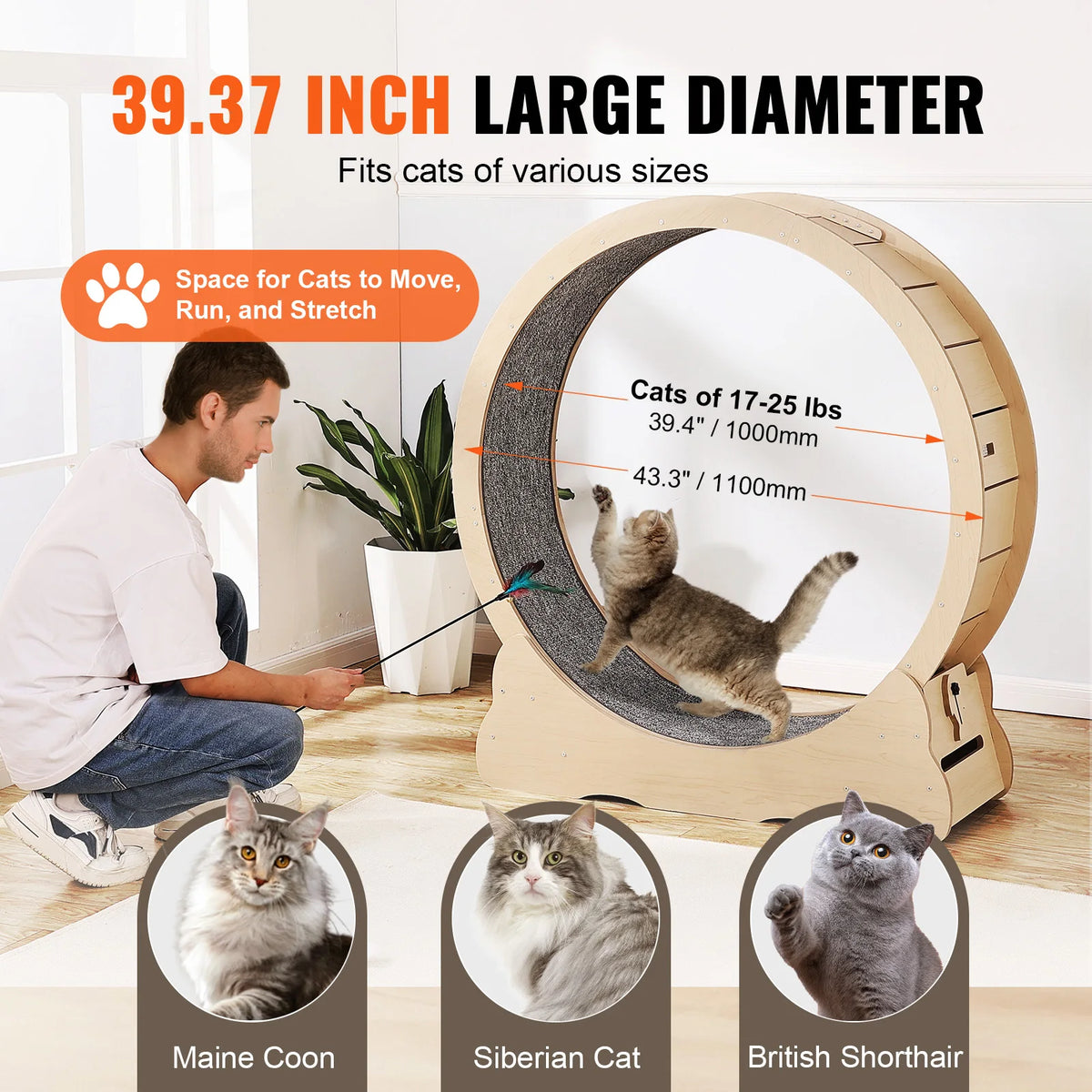 Wooden Indoor Cat Exercise Wheel With Detachable Carpet Toy