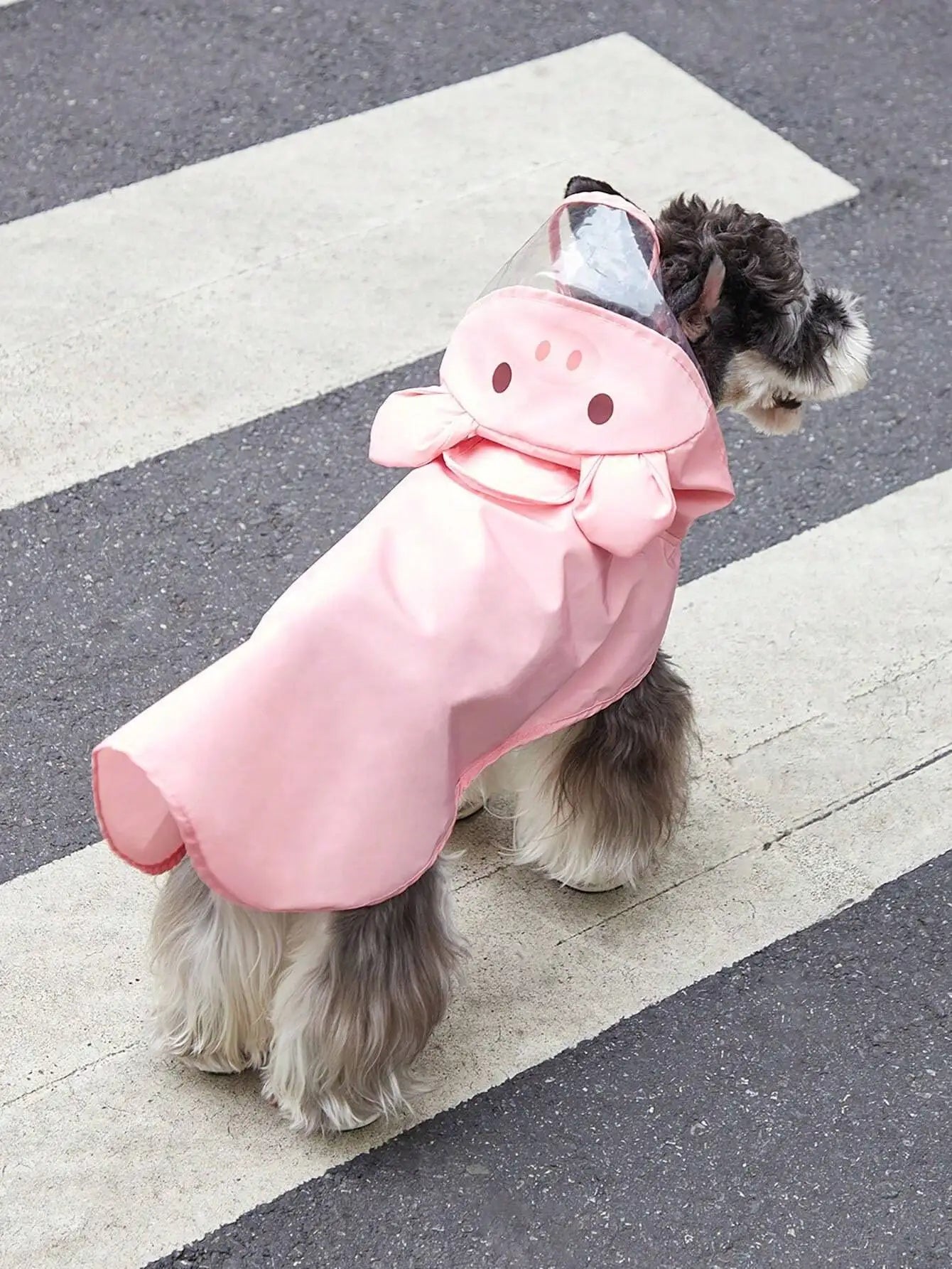 PETSIN Hooded Cartoon Bear Pet Raincoat For Dog And Cat