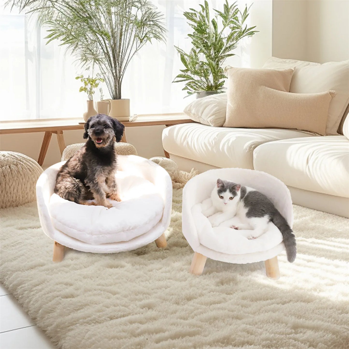 Bingopaw Pet Sofa Bed Raised Cat Chair Small Dog Couch