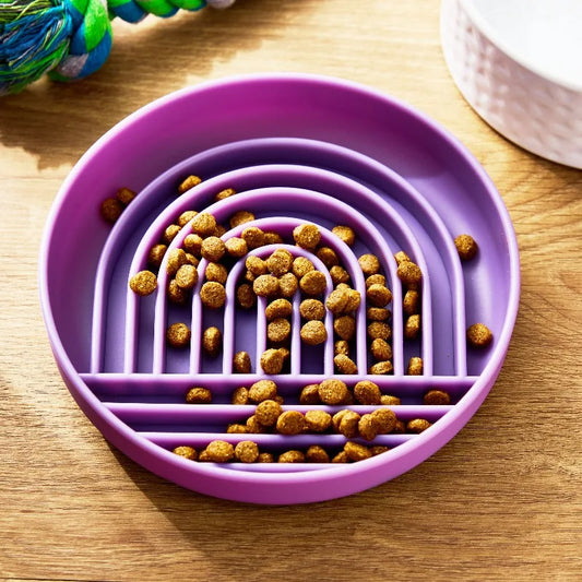 Slow Feeder Bowl for Pets With Fun Interactive Mealtime Design