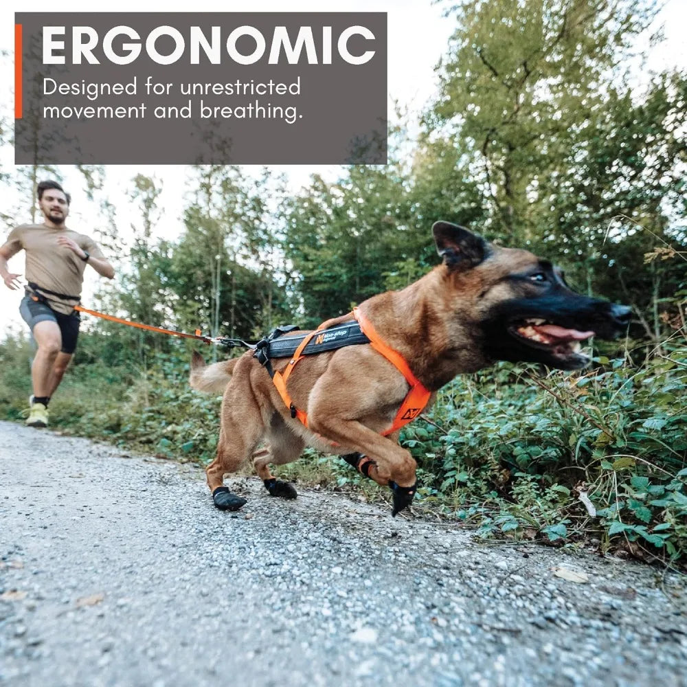 Freemotion Harn5.0 Dog Pulling Harnfor Sports Like Running, Biking and Skiing with Dogs, Professional