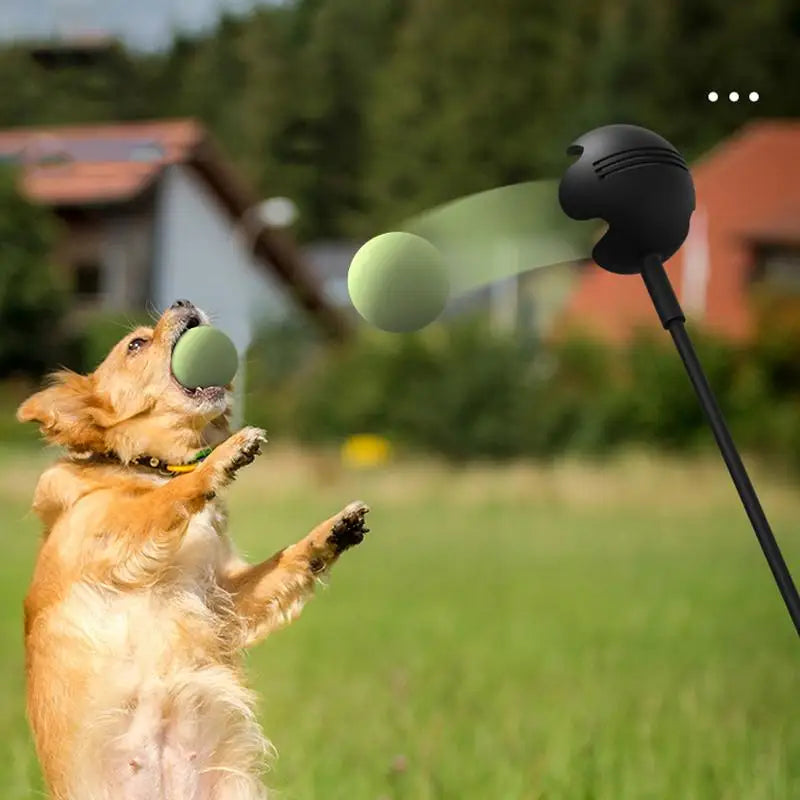 Dog Tennis Ball Launcher Stick for Outdoor Training and Play