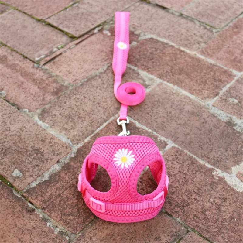 Mesh Small Dog Harness And Leash Set Floral For Puppies