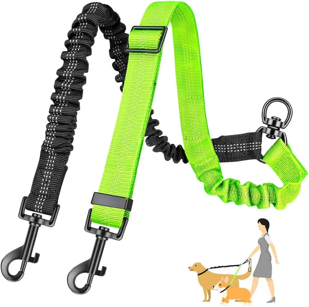 Dual Dog Leash Attachment With Shock Absorbing Bungee