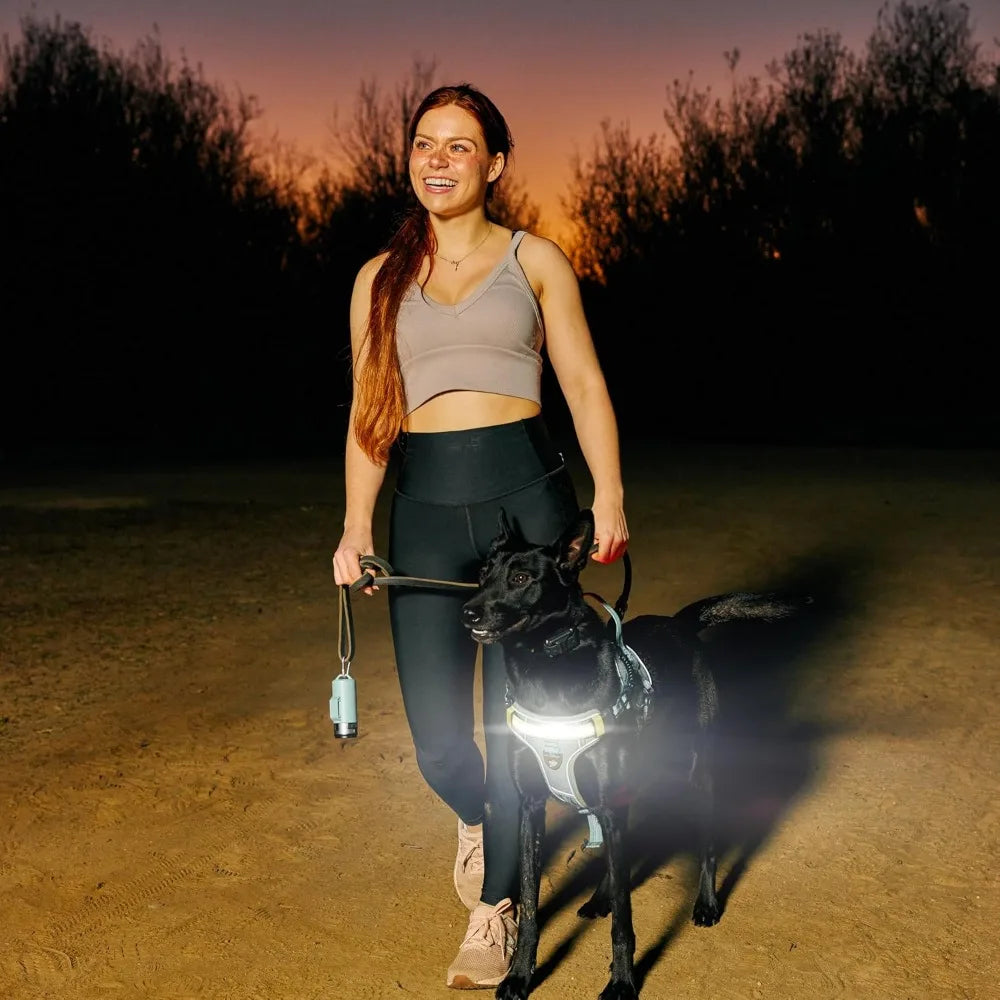 Lumi One LED Dog Harnfor Night Visibility and Safety, Patent Pending – High-Visibility Light-Up Dog